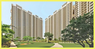 Vijay Estate