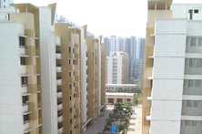 cbgview5